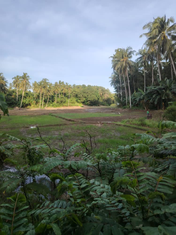 Community Project